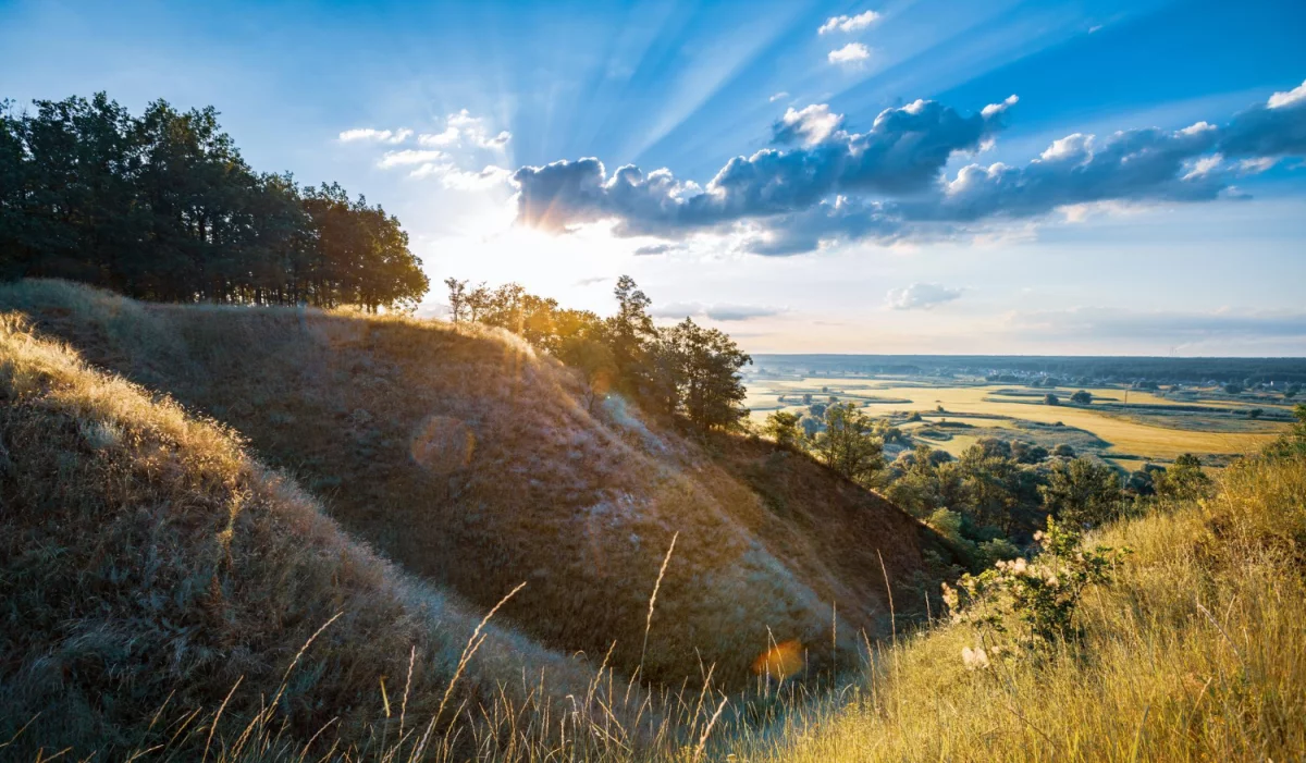 Czy w 2024 będziesz mógł robić biznes?