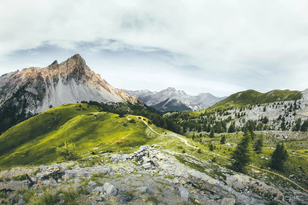 Jak dobrać części i zarobić?