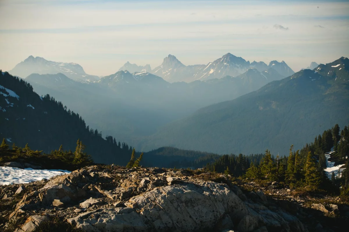 Rok 2025 - czy  trenować?