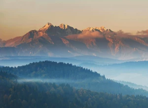 DRINGEND! Siehe NUR, wenn Sie Photovoltaikmodule kaufen möchten