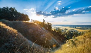  We advise you on how to buy us auto parts faster 