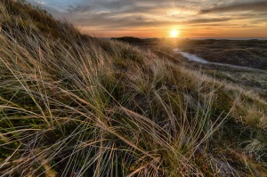 Czy w 2024 będziesz mógł robić biznes?