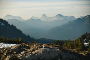Tylko tutaj więcej informacji o tym jak szkolić się